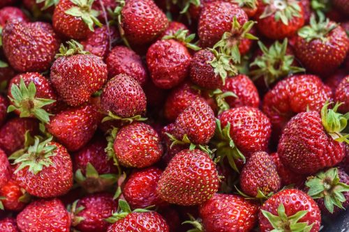 food photography tips