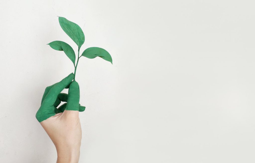 eco friendly promotional products